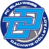 FC Blau-Weiß Dachwig AH