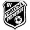SV Frienstedt