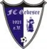 FC Gebesee 1921